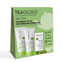 Teaology Matcha Repair Hair Kit Set
